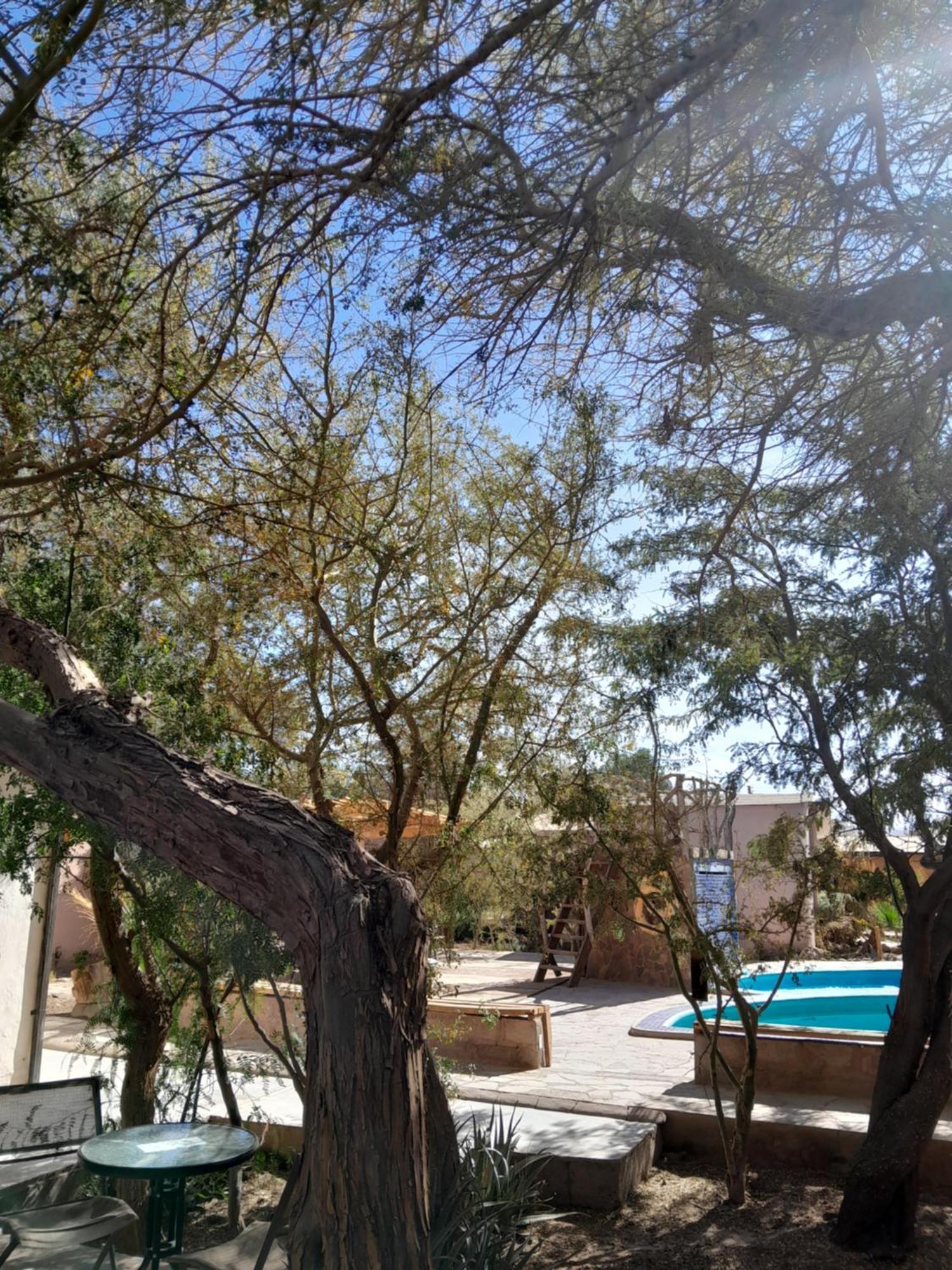 סן פדרו דה אטקאמה Hotel-Camping Takha Takha מראה חיצוני תמונה